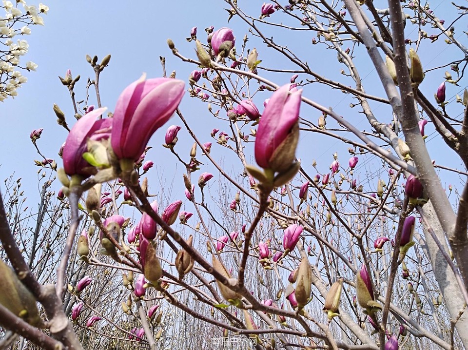 mmexport1521691148685