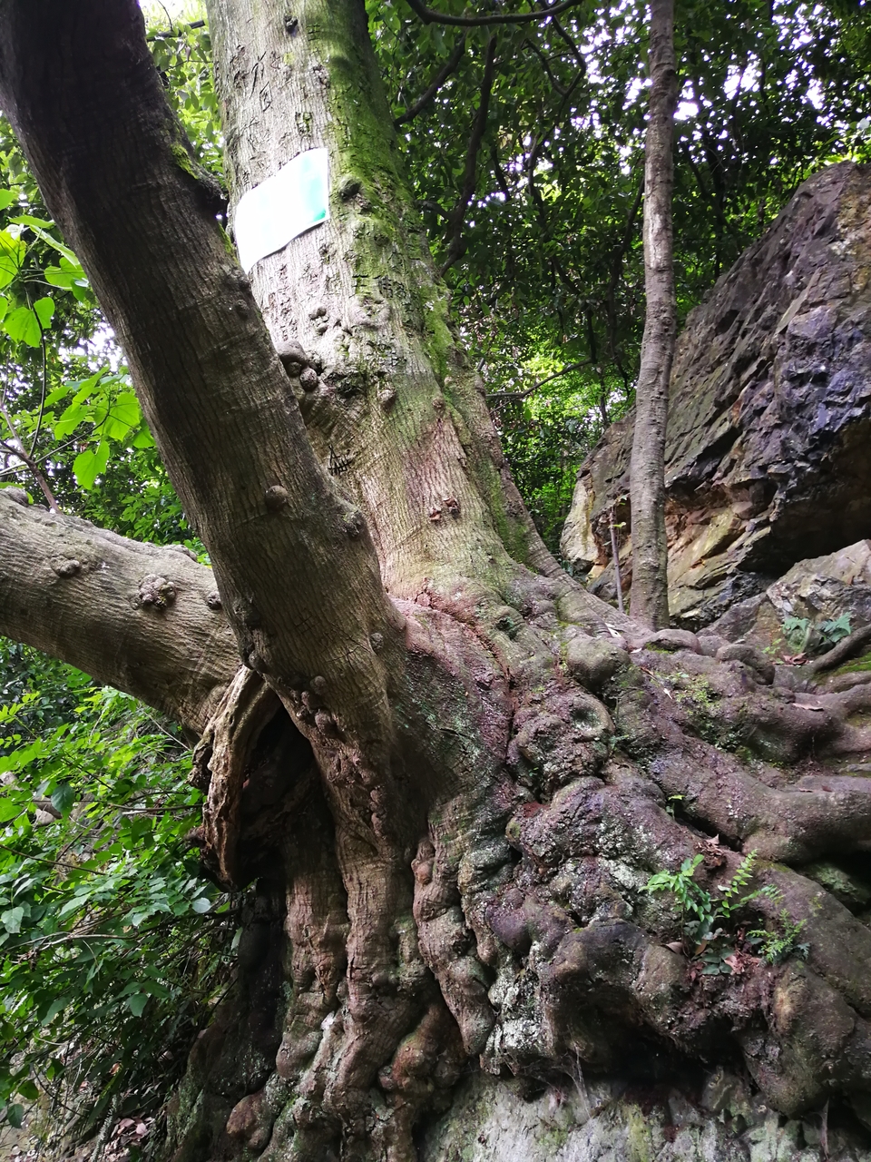 vssPv4N7TgDDBMwkXHSkJiTkXDLBeZjE_2p4fUxM1VGFOhAit8fswDqlsYZ8TMah