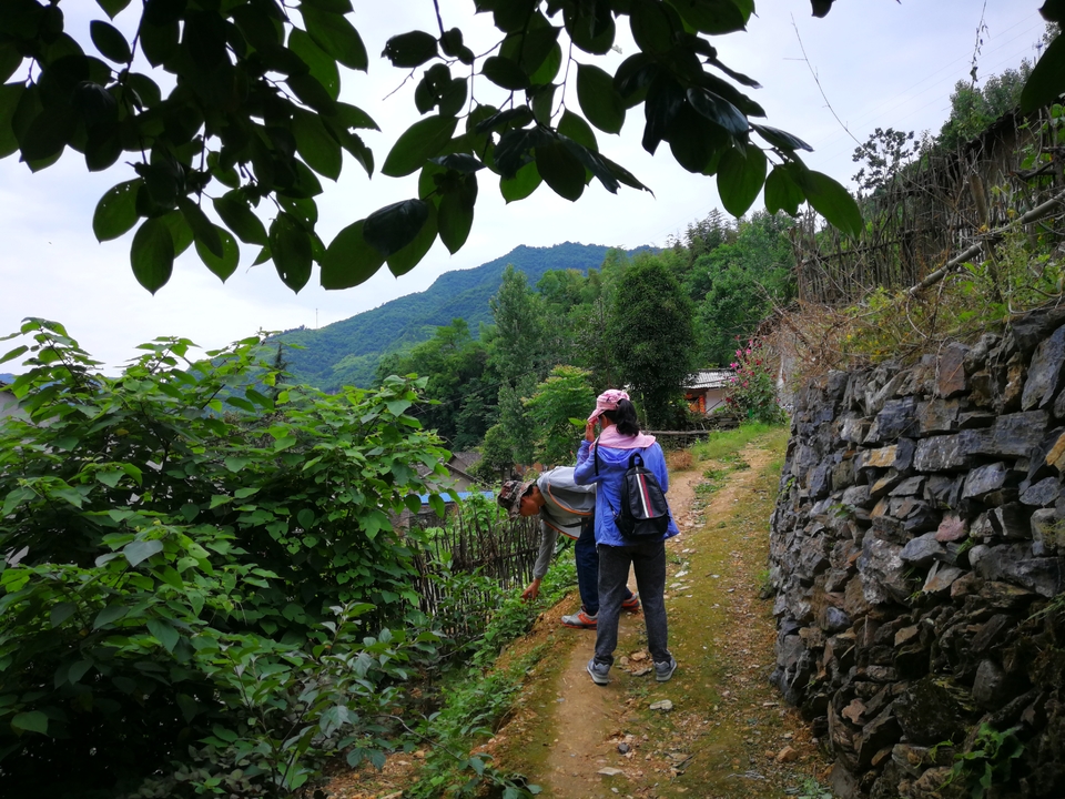 0jq6604OznQrxCE35s5q8ZbjFpLqS4CHcKp6G8EBOFwDNE7WgH6I5RTcgSLizc0s