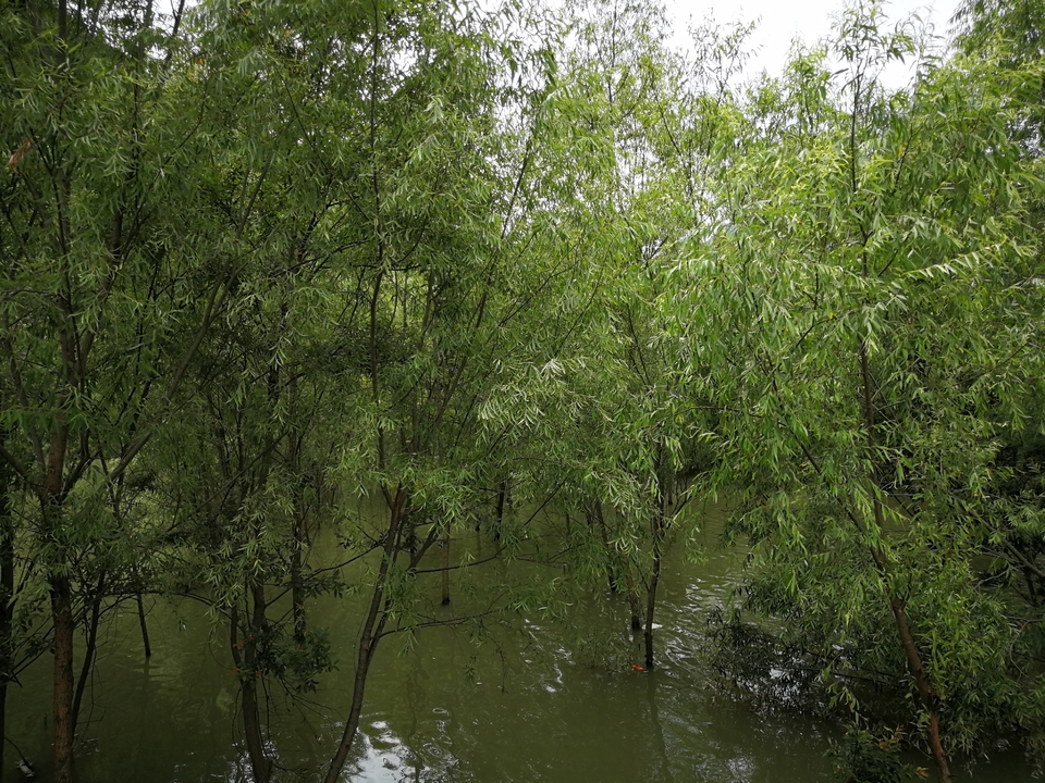 GbOGg1cCRNDx53K2GyNsWvQM2PclTpMHs28M6O5RK81wJOy-Dt9q5rPBNeqSz7-V