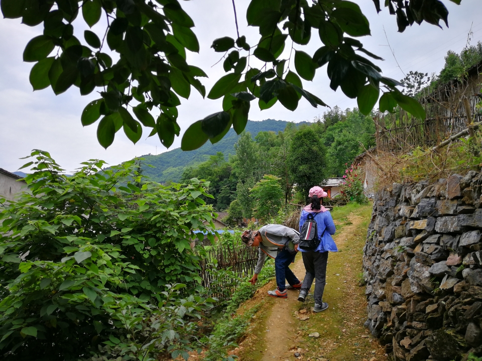 zJNNOh9i6SboKWAki0KgUlfLkcnZ8y3wQvLnVb922-gLVMKjHCpgd7znaRxYNwmL