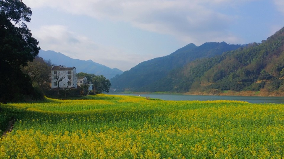 20180317_090427_mh1521280778049