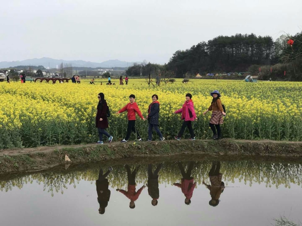 mmexport1521280654829