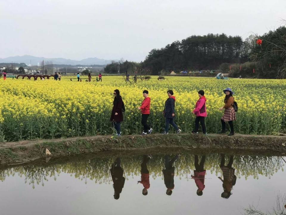 mmexport1521280443853