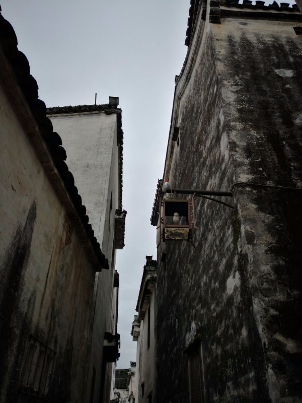 mmexport1521210562511