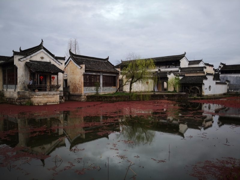 mmexport1521210532824