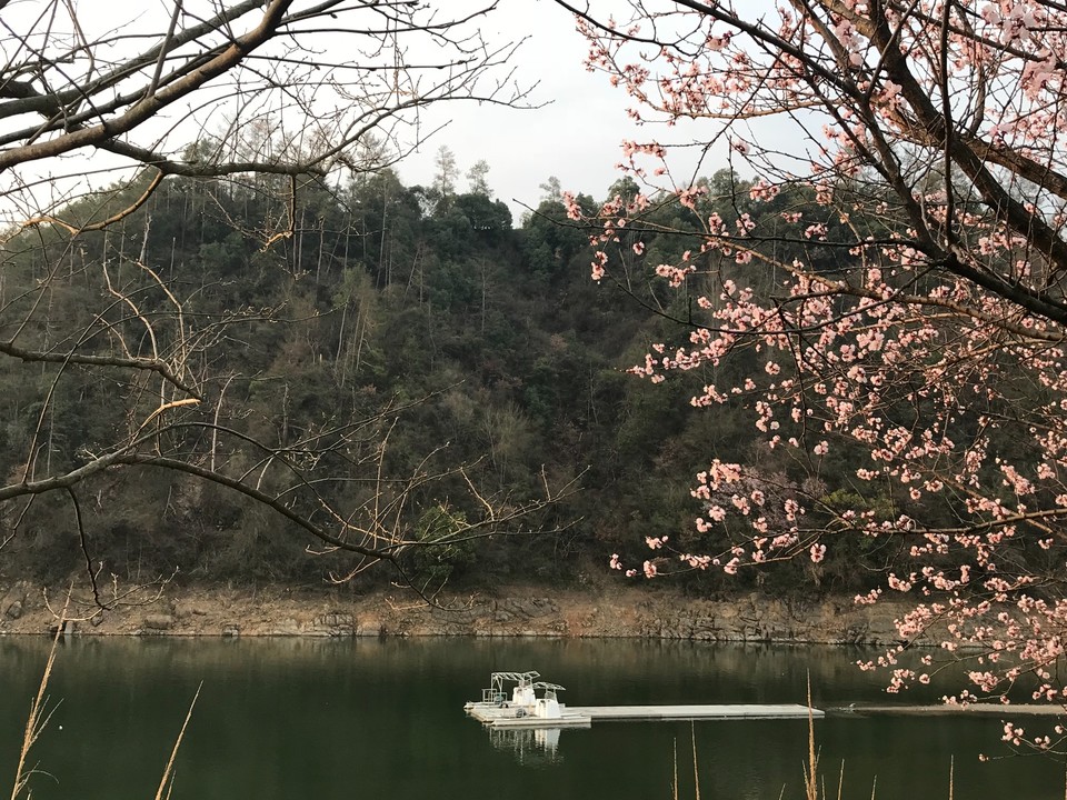 036BBFDC-2EB7-4DB3-95E3-60B0A73420E0