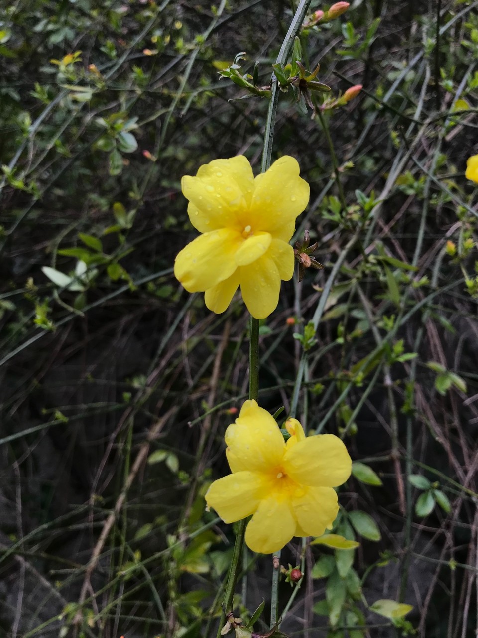 1D397EBA-DEB7-41BE-82AD-5280165F2E41