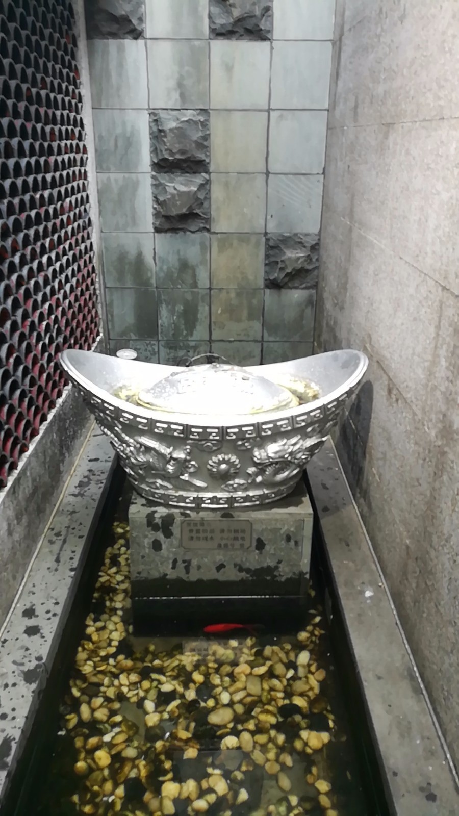 wx_camera_1519018606385