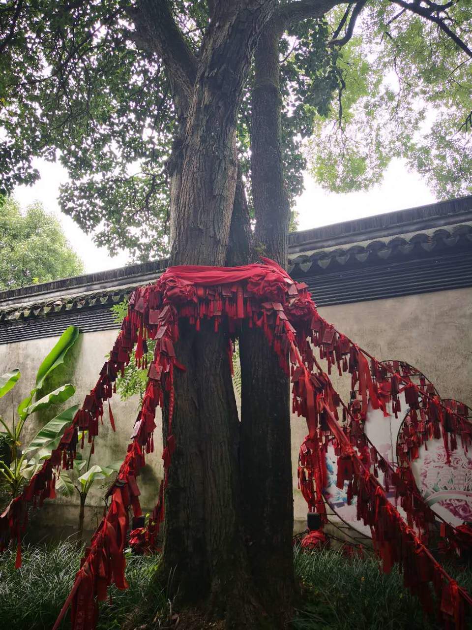 IZXv3Ma3Xj0GupsYlzgb3o5L_OiLPhYSvk4MkiifVjpK11XhKcODWSkyX_EHq4I6