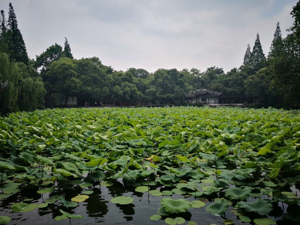 tk7J3NwHck1aC9W8ljZIHrXG9P0xM3oFYBsd2fUpg5zruqGiCt9BOvTwpj4sqGDH