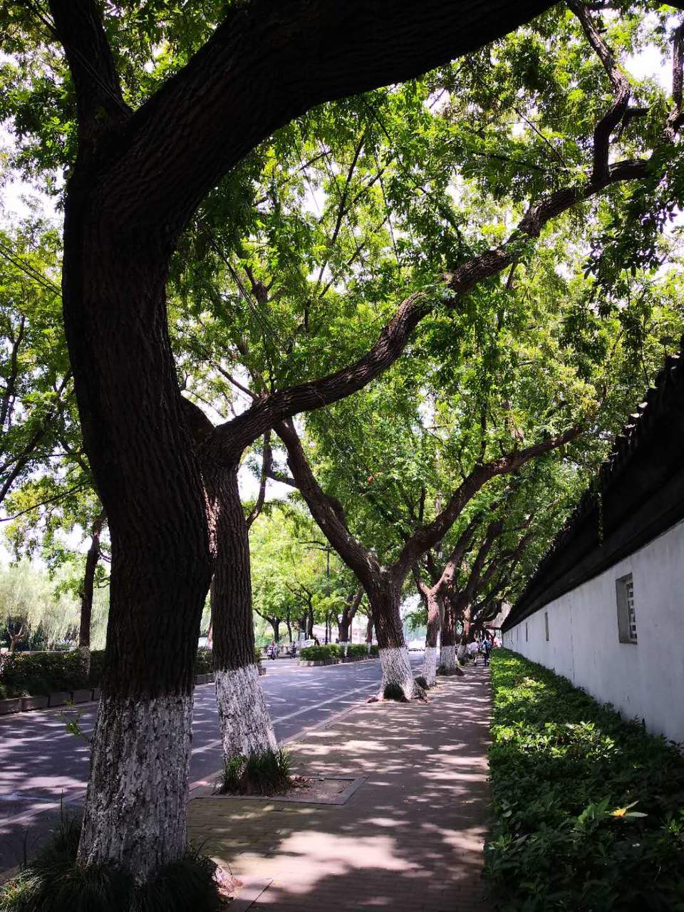 Rs_Qt_Gk15PYuSf3F0vO0vQ1wt4EwgJEBdm-lZi4O-EdEEBDwuVshofEvm73FCrV