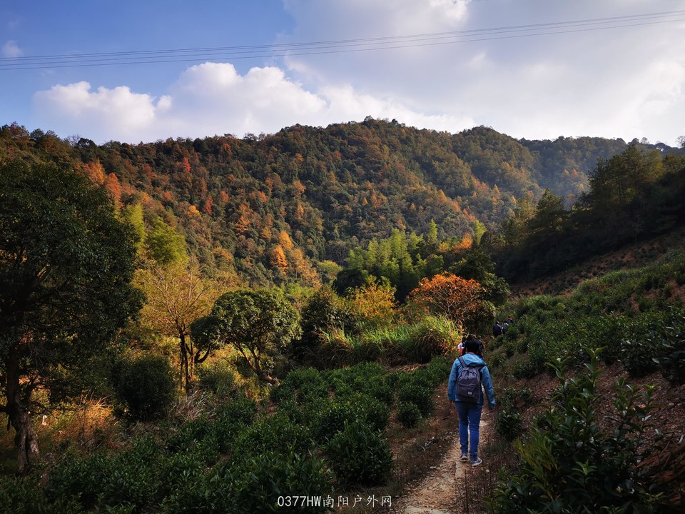 eTino6VfwFjVKpvk1c4T15suyOS9ta393VGoalV470zooTBOQHS4GDmm_Qbghk-v