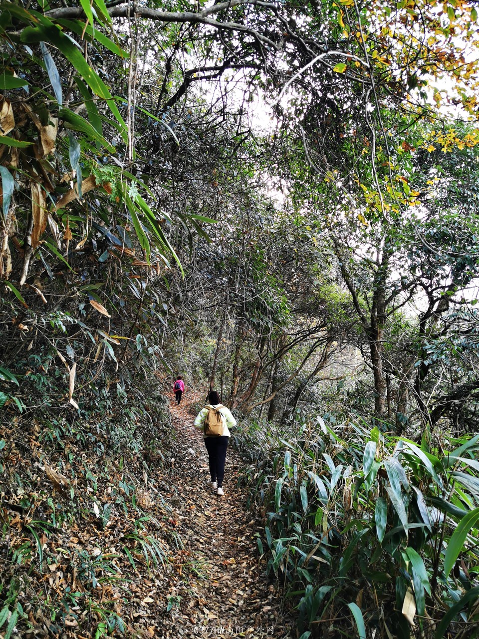 AY0SmbW7Bfp8ntpg2-HXz_TiUg2KPgGtLOQa1pRPFeDUBWUKq4kiOOUXogSOoPBp