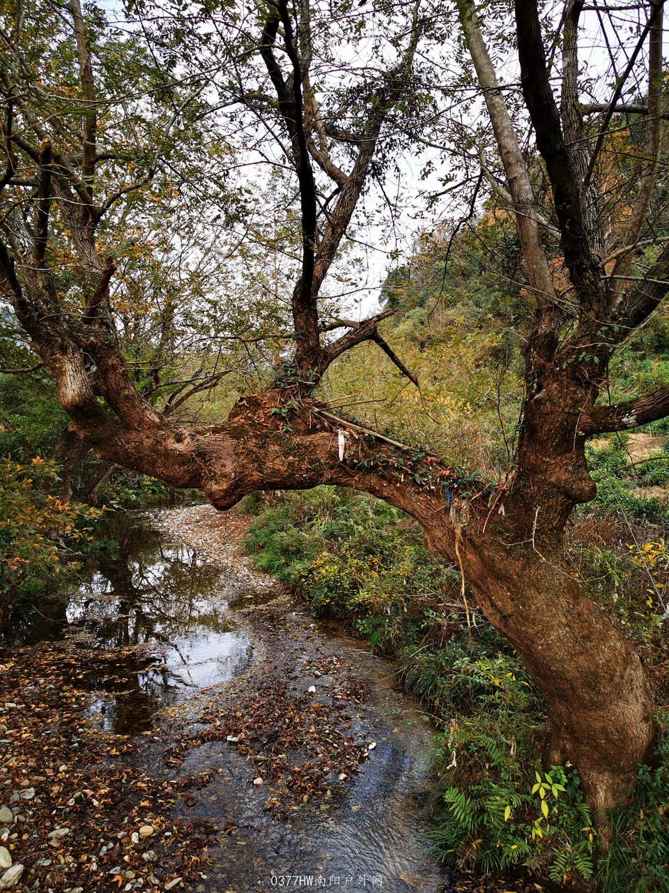 ZHND_g1eKT5Tw0a39f5QSE_OXtl1sU85k6uUYG8X4pg4KzEMWscAXoz0P0k01_Dm