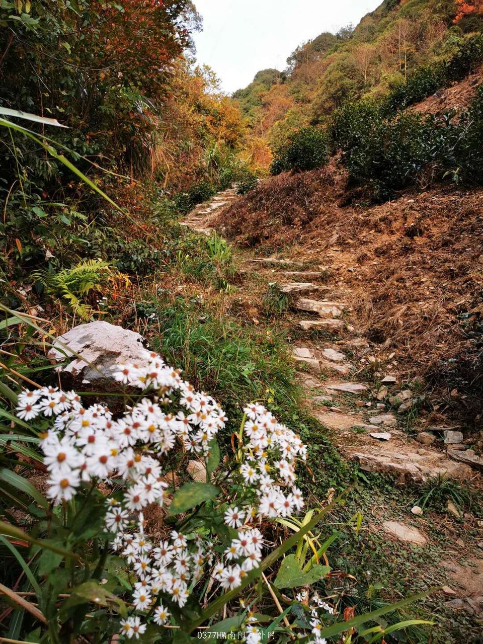 iof0jkDJ0m34jxSVLyIdv0lfXX7lzYo3YKyv1fzv1DW6bO2V5mB2K2w6jbC_BmQG