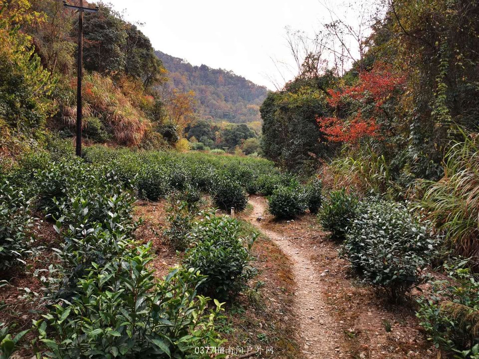 UMIYeDEig_S6BrZjGU4bA1vOv4OSTmSYsMZ6h5Zo8eAkmtTSvfxDZEtFPCoGI5Nd