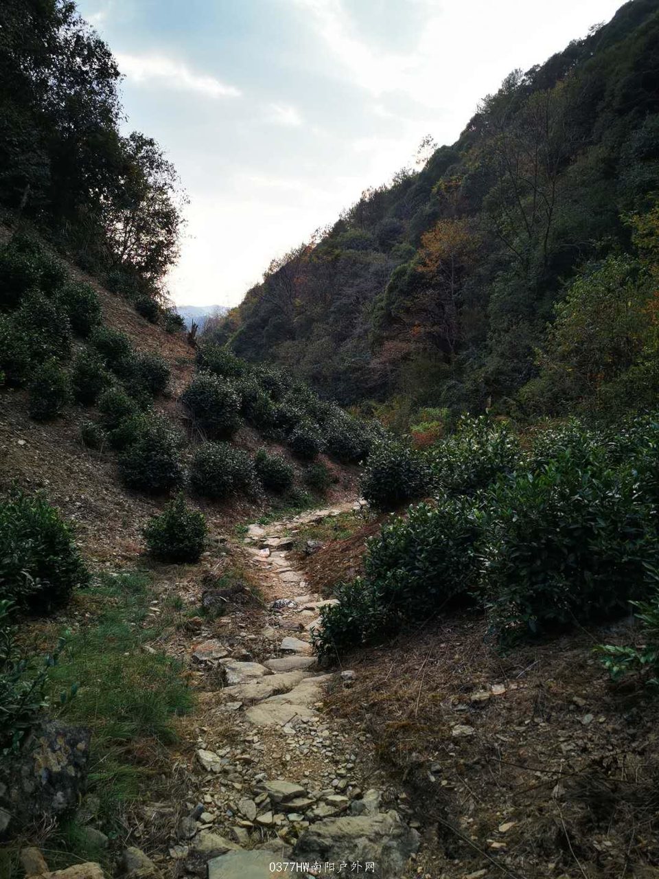 yqVqfMmURLfRD4wGAkFp_KVbX6X9vXDZveTJAvE0LRLsqkNfJ9U80Lla7i1I9EEt