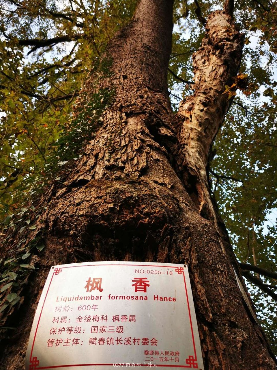 Xx5R67QeHcRuvj3sXe3p5aWC8xBMqK_g4Nw72MO0BpQ-PEQcnEXlLq9hF4JjMVBb