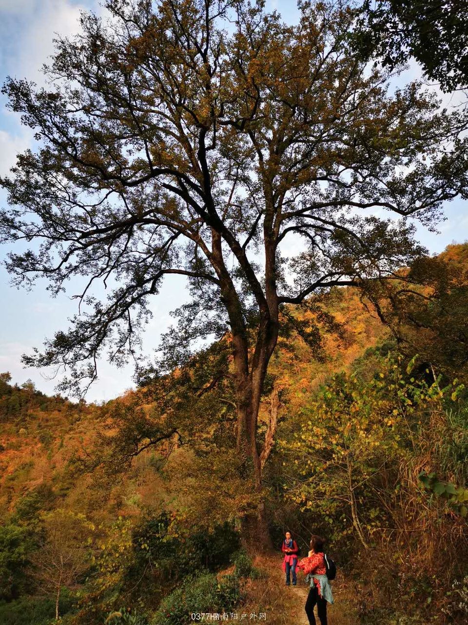 gzw1SZFclpR7EeAf8IPk6UroYNllEolEZdlYEO3pcDSjE2TvvLJ65Q5CiKTXQ3Il