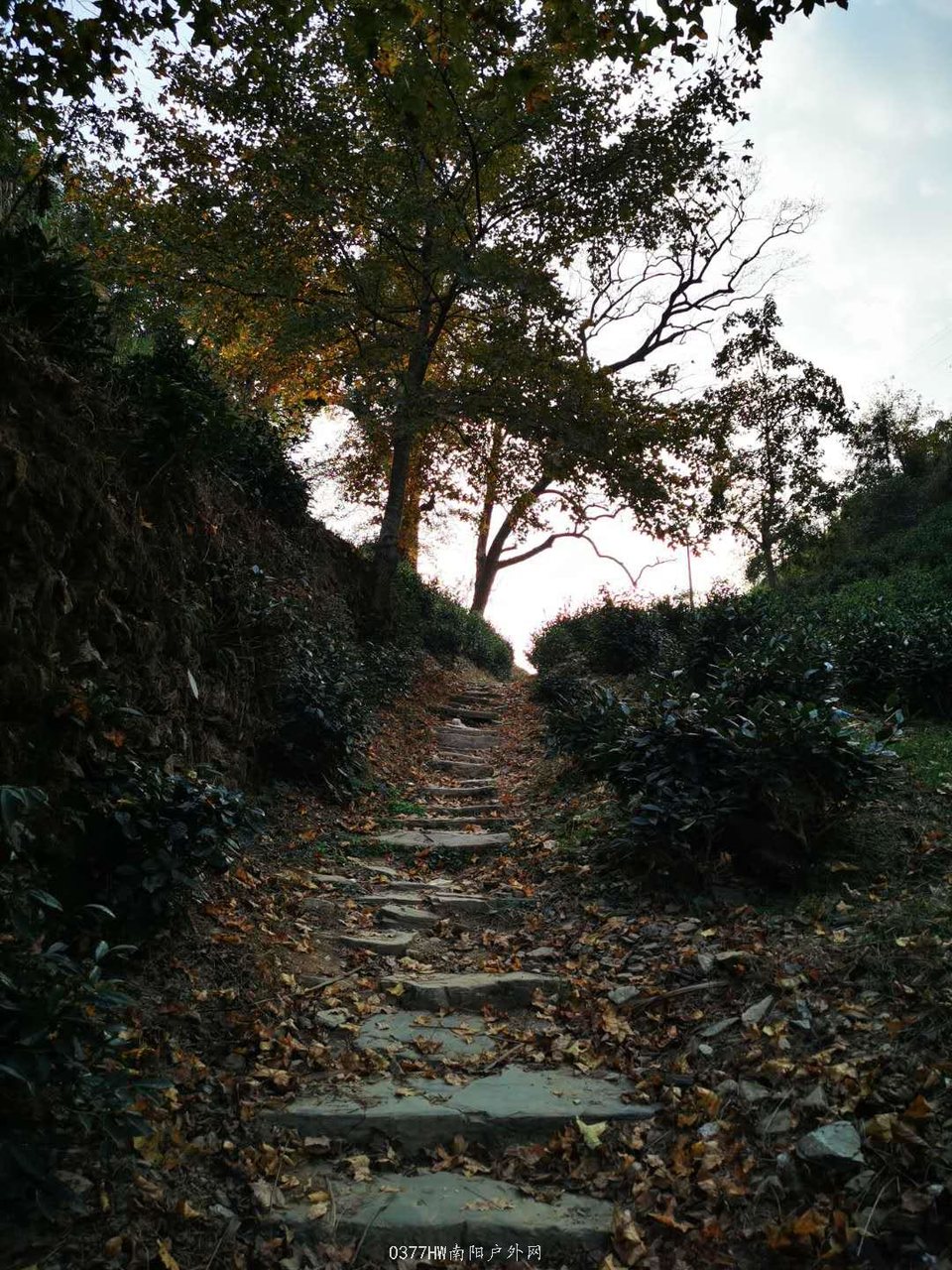 46-yofZXv_yBZMq8yItIriW8sAdPuwbW8MvqOeJS24XkUs8AYmDpVcQjG3RAPQlg