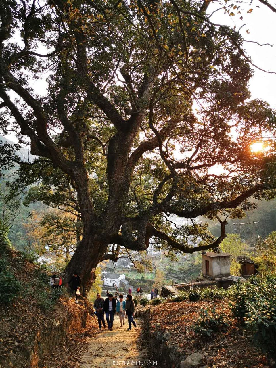 iLLU0SkONWyhuscxUddYX59ygDj2xx9mLhmC_juOu1foyKXXEqU2JLbKtcB9QsAk