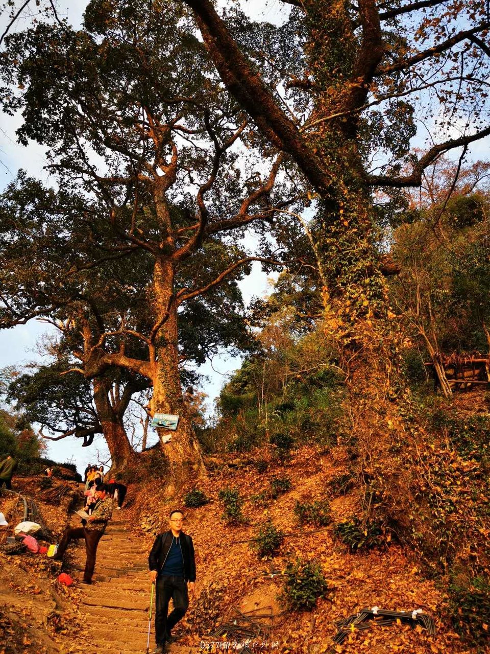 Y2agmTactRapCvHzn-vqaFNj5g9C7T337dWtYLfEMB1CiQV6VYXQ_zpYMW-agdh5