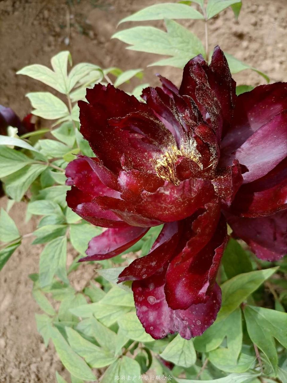 27F7RwVczFEijO1j2tL0JaRJFC2U553Tbwiol02wHGJ-j10cHWUSnE0RD85-djAs