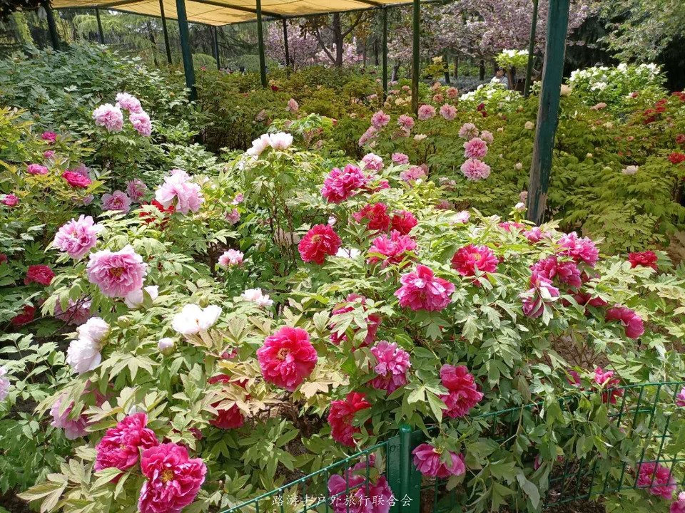 lb-Fdx4JiicHluqSZb02WvAqqq54Avngupz7sHZCX-NyENsnlEFW8xgxsVxyedp0