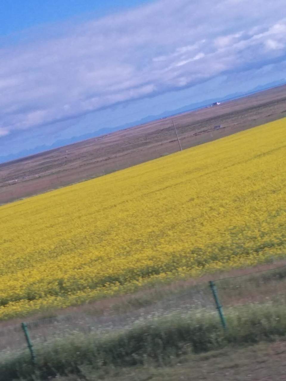 TRo3u_T6j97iZwQE_JSrsgkEFpLLTrLb51hwRGai_R_hNMr0ruP9p5ygRSRfELXA