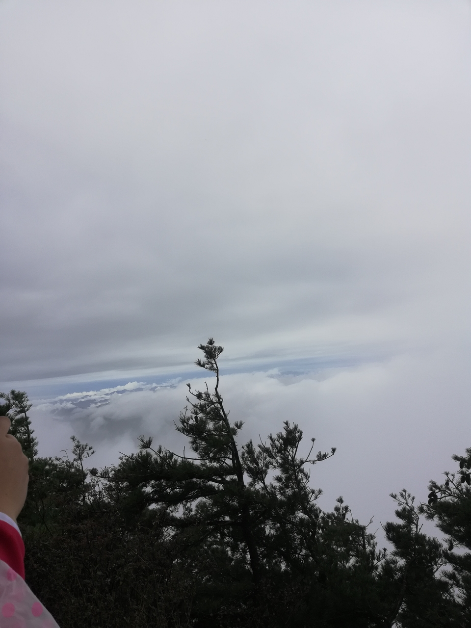 GbOGg1cCRNDx53K2GyNsWtbW-_80-zZIXFqgHI3tDBMMuSZlVERS8qDZsbuJS7SO