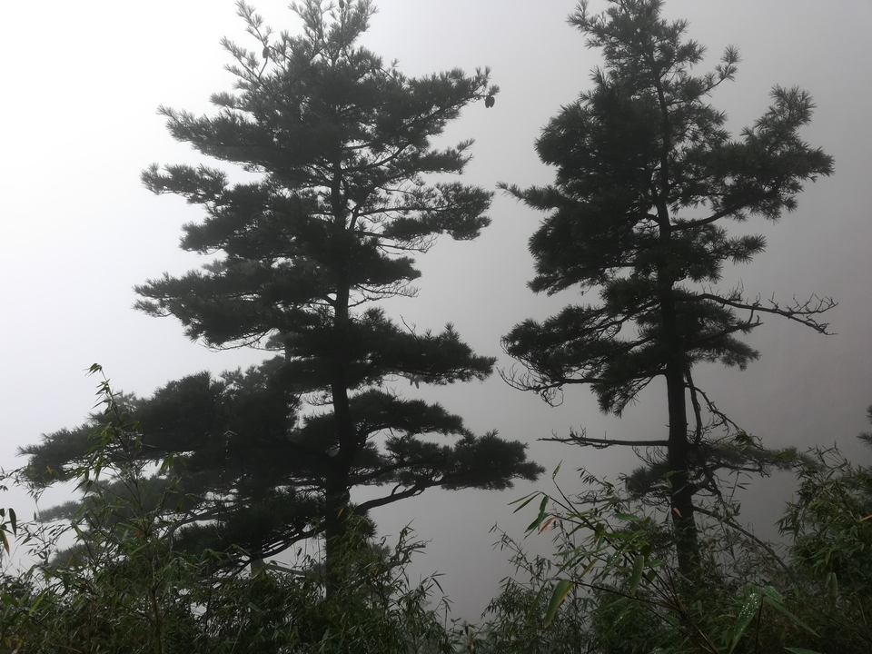 LBxLZTZmXKVgDskn_ukqNcLpLa2yB0klULHd8ARQTu8FfGdVPkVF9TzDUGS-A8_P