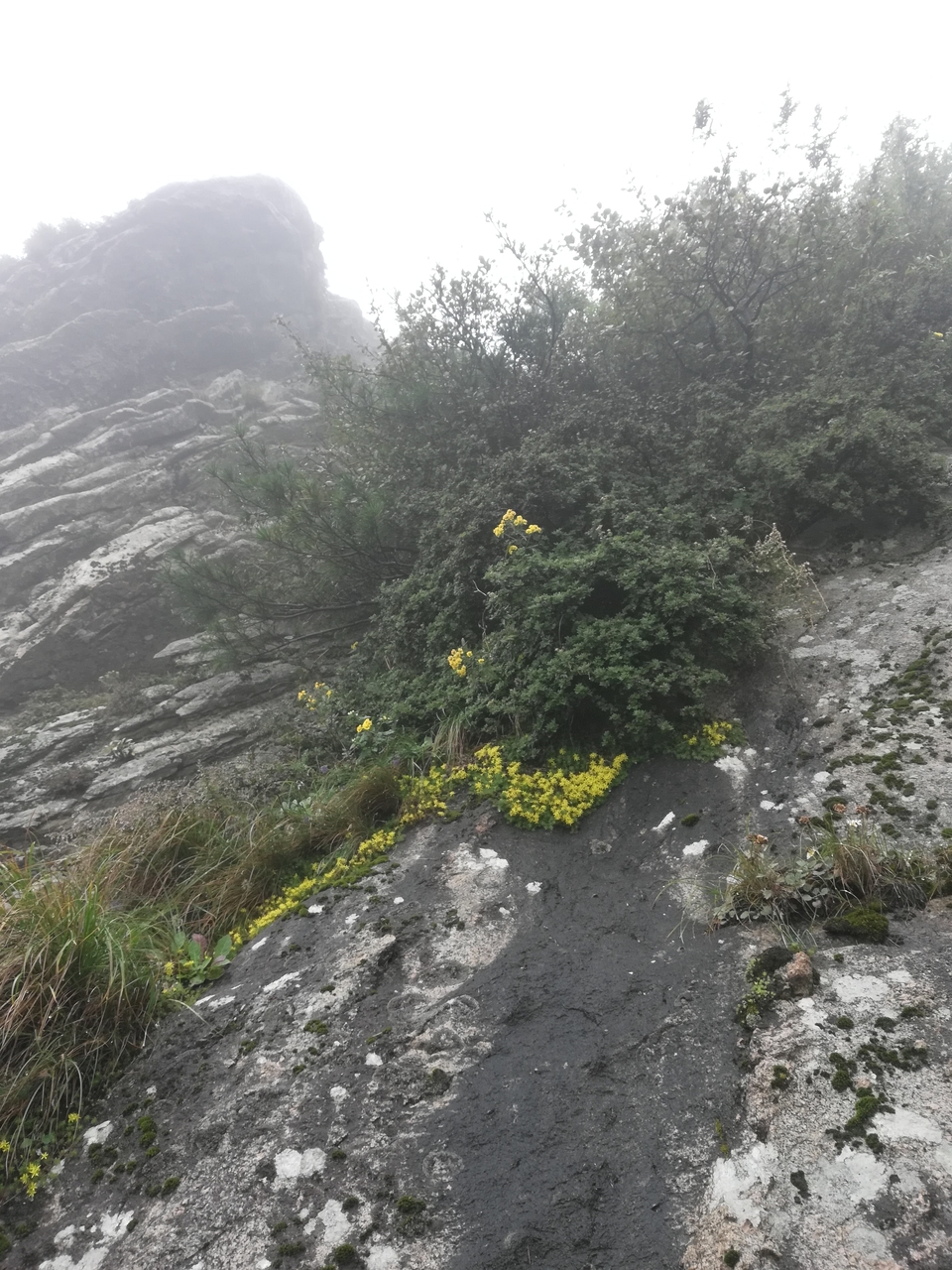 mKk4c3th6iakmDOubJxL0cIFNk7fwamQ107gvBMAbSFQW4xuRwV4cBS1LiHbphUa