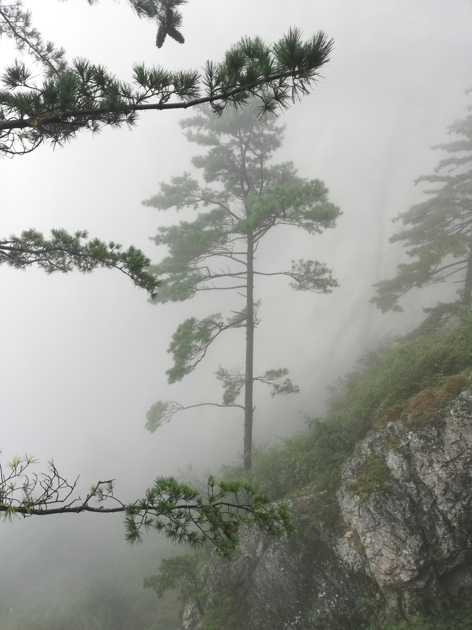 LHFwtag-ViRAl12oWMZaLdUcPSfJjamu8A4x3X6Mm-TQIXD2_pm_m3MSz1vAbhQE