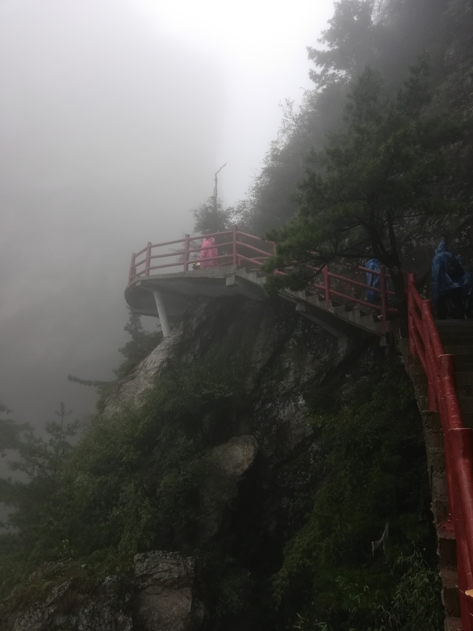 WVlkIHRQq9edrQGwn5SXuVhrEkcS7MOkRr84jgBzQi1HRa6zuvNL7pR-SFGmTsRz