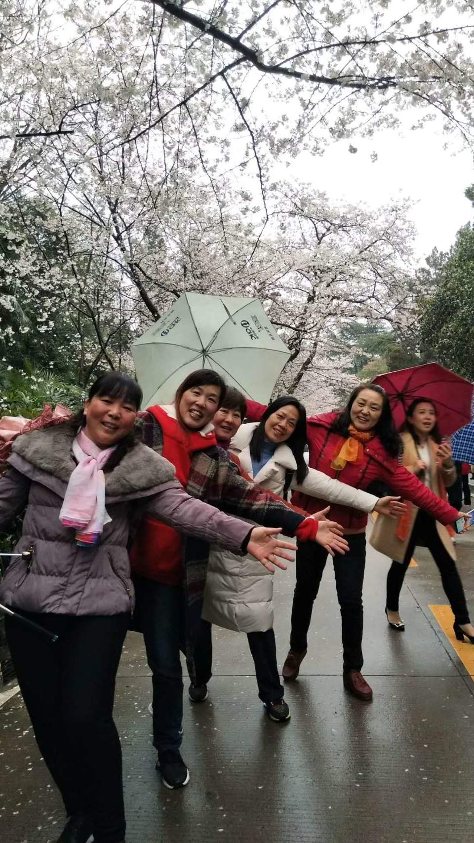 -VbJbXkC5yDSGrln0RYYTQbM2y_hGyVeIy3LZW8Q5FhOE-uIS5U6nU_Q3sECwK3L