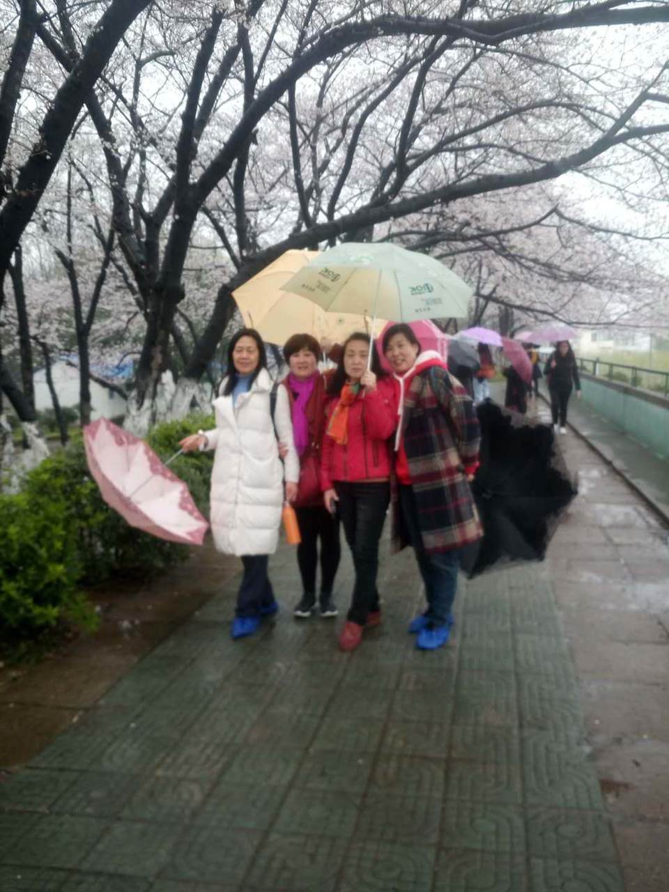 6RBdQlfHBXLph4C6bsJ2fZzZvtU9GSG0XYgibebc3XFpzAIlS6ITUrLMPdAxawVI