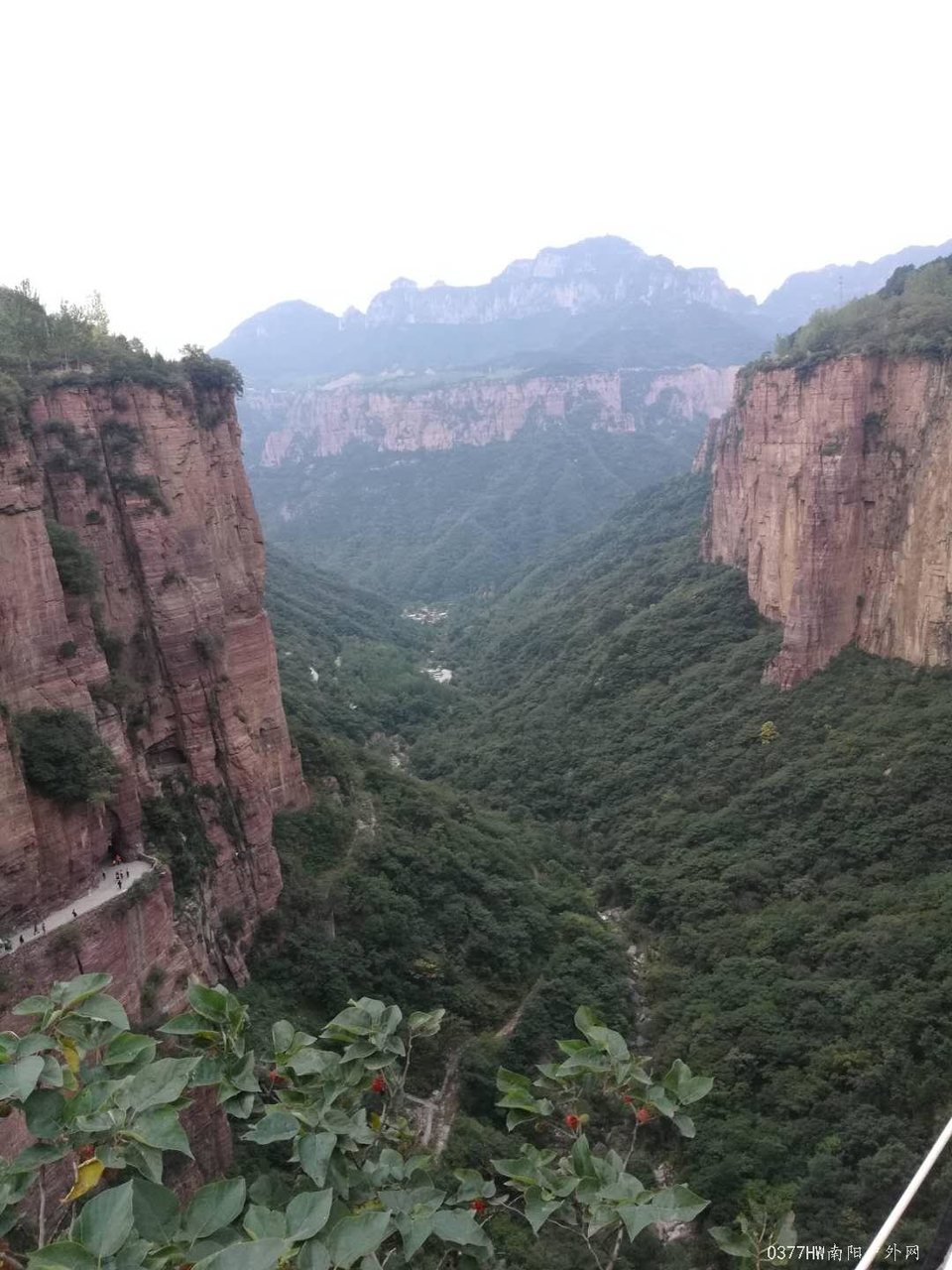 7i1PNGa7VYf3H0rnpN73ZrmBsWs3JIq1v9UC35Z0Js4SCbin0upIm7PJ2AgYgRMa