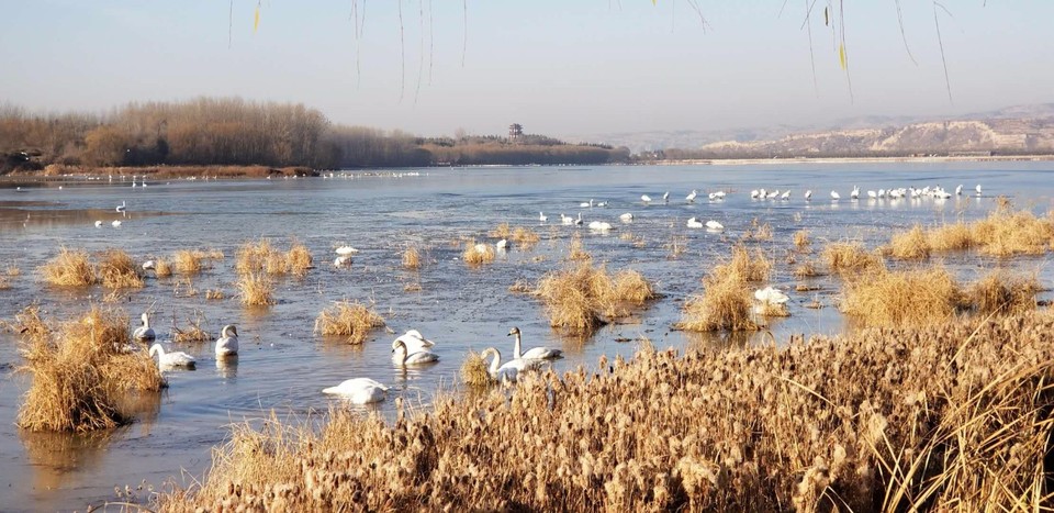 mmexport1513480186532