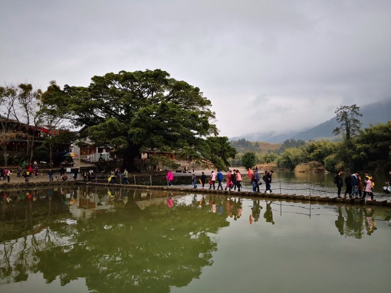 mmexport1519444456711