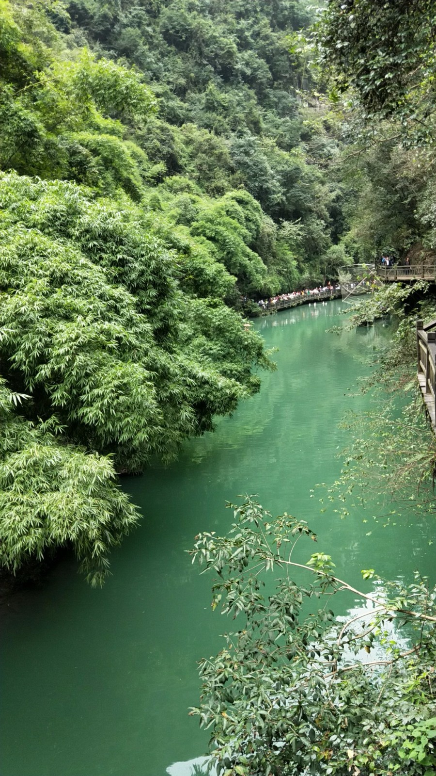 wx_camera_1507343850812