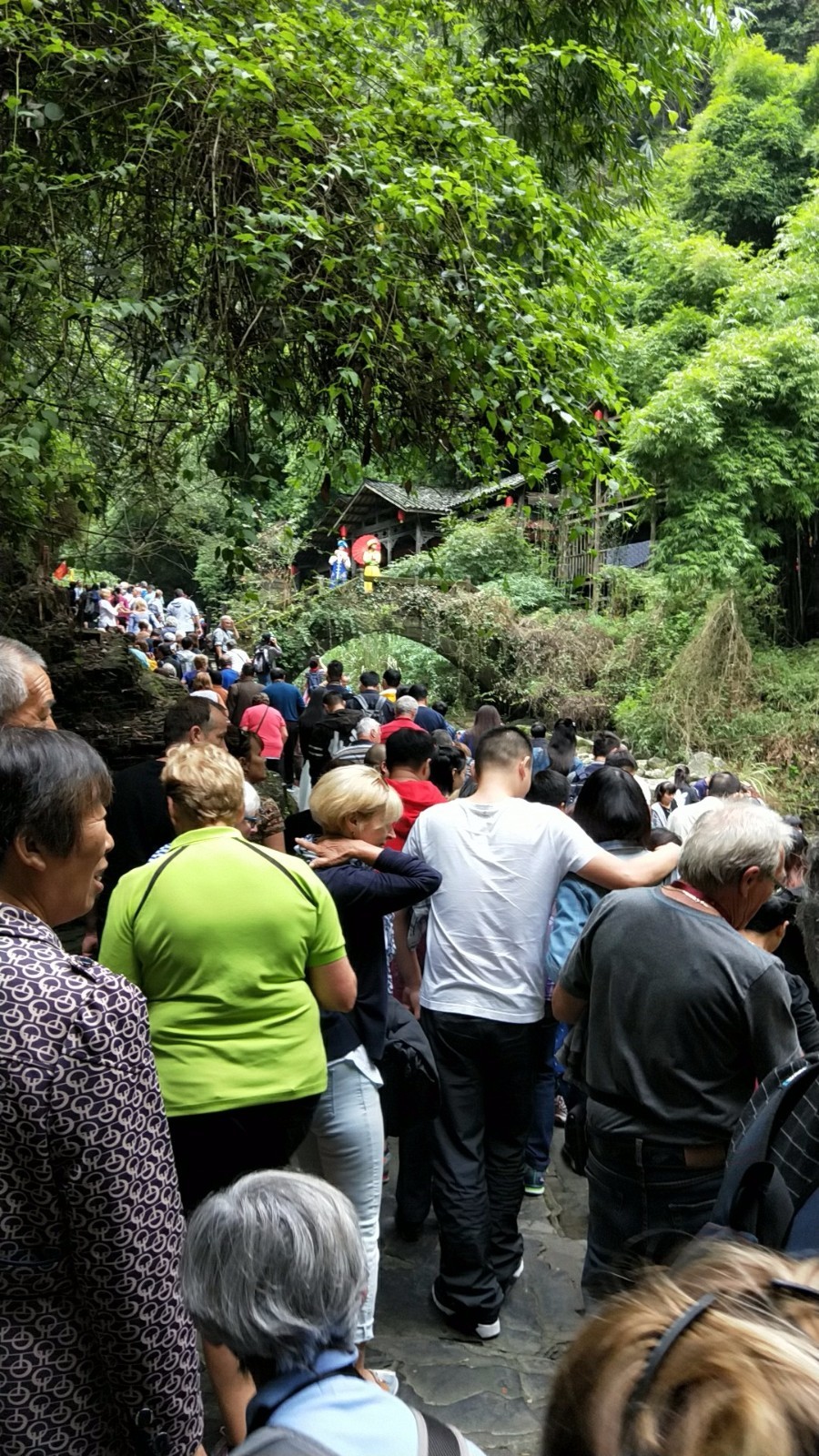 wx_camera_1507344577582