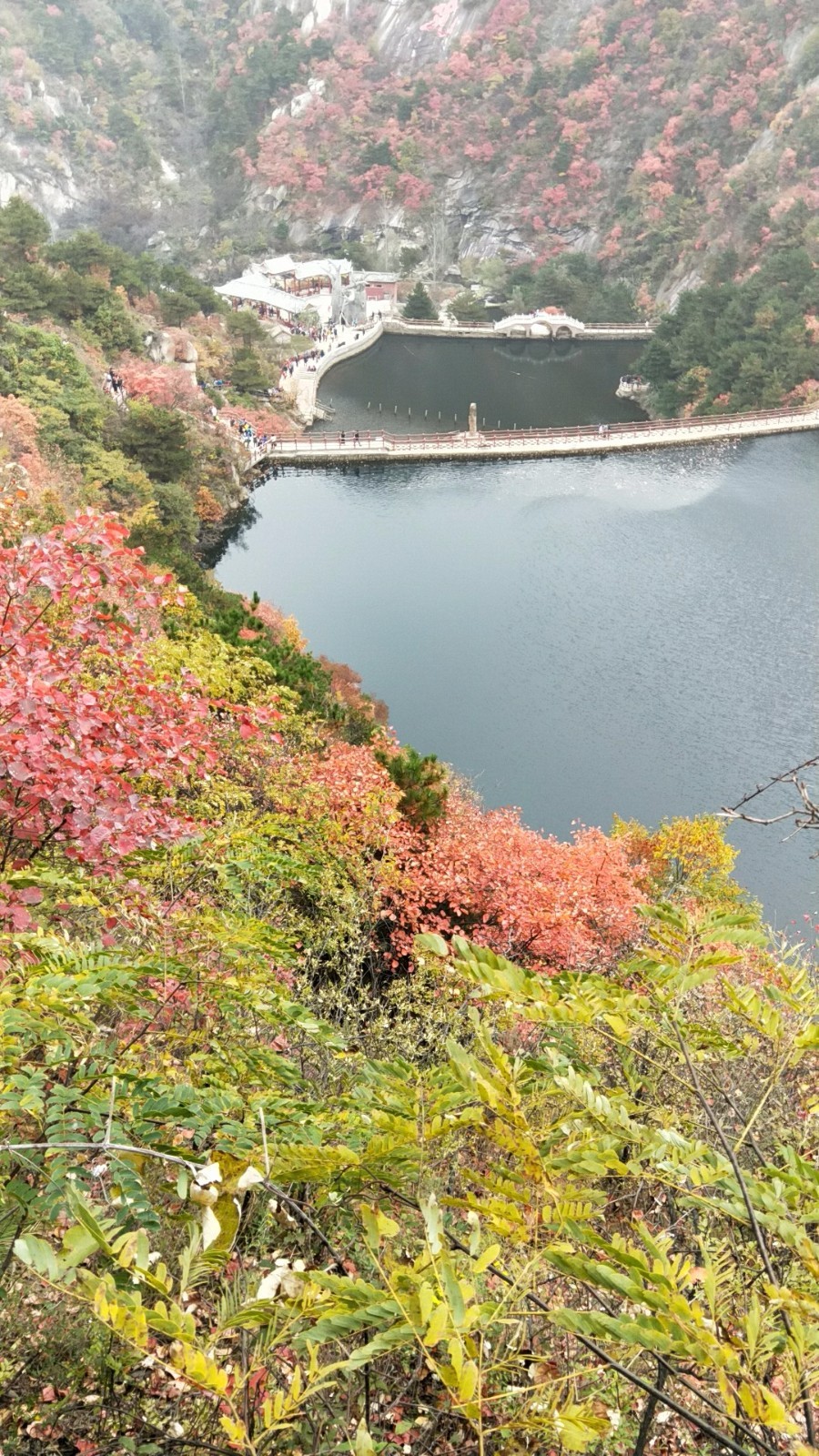 wx_camera_1509247197964