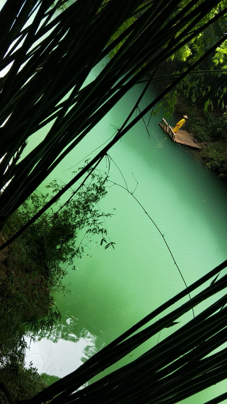 wx_camera_1507348440136