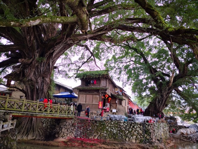 mmexport1519444442262