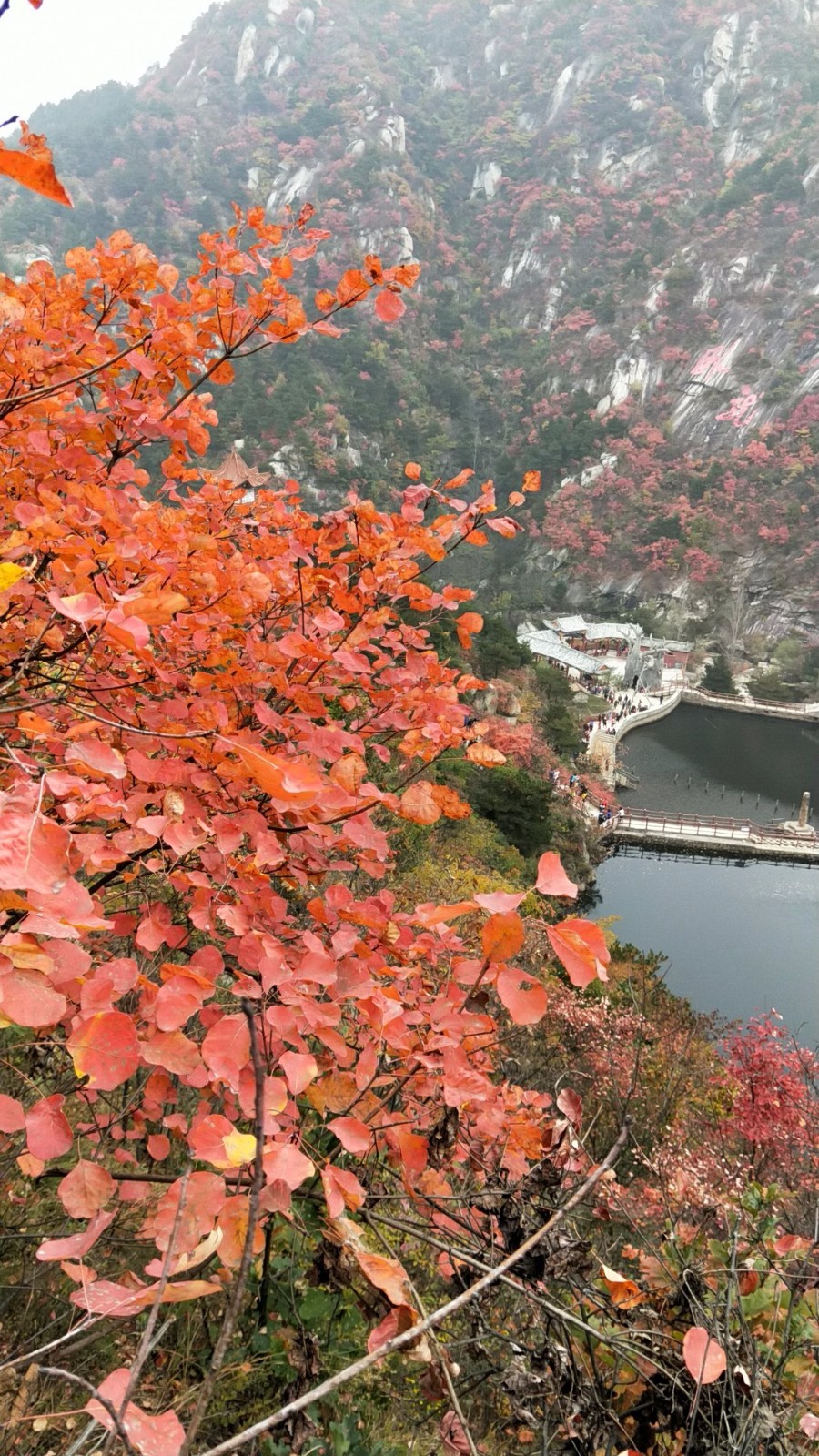 wx_camera_1509247147262