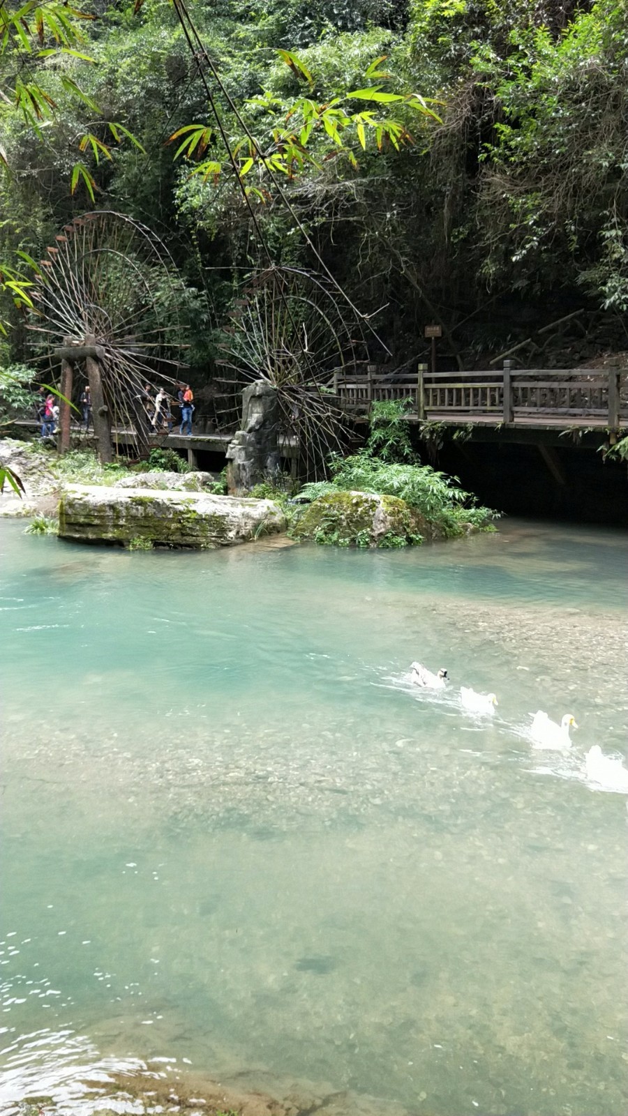 wx_camera_1507344272024