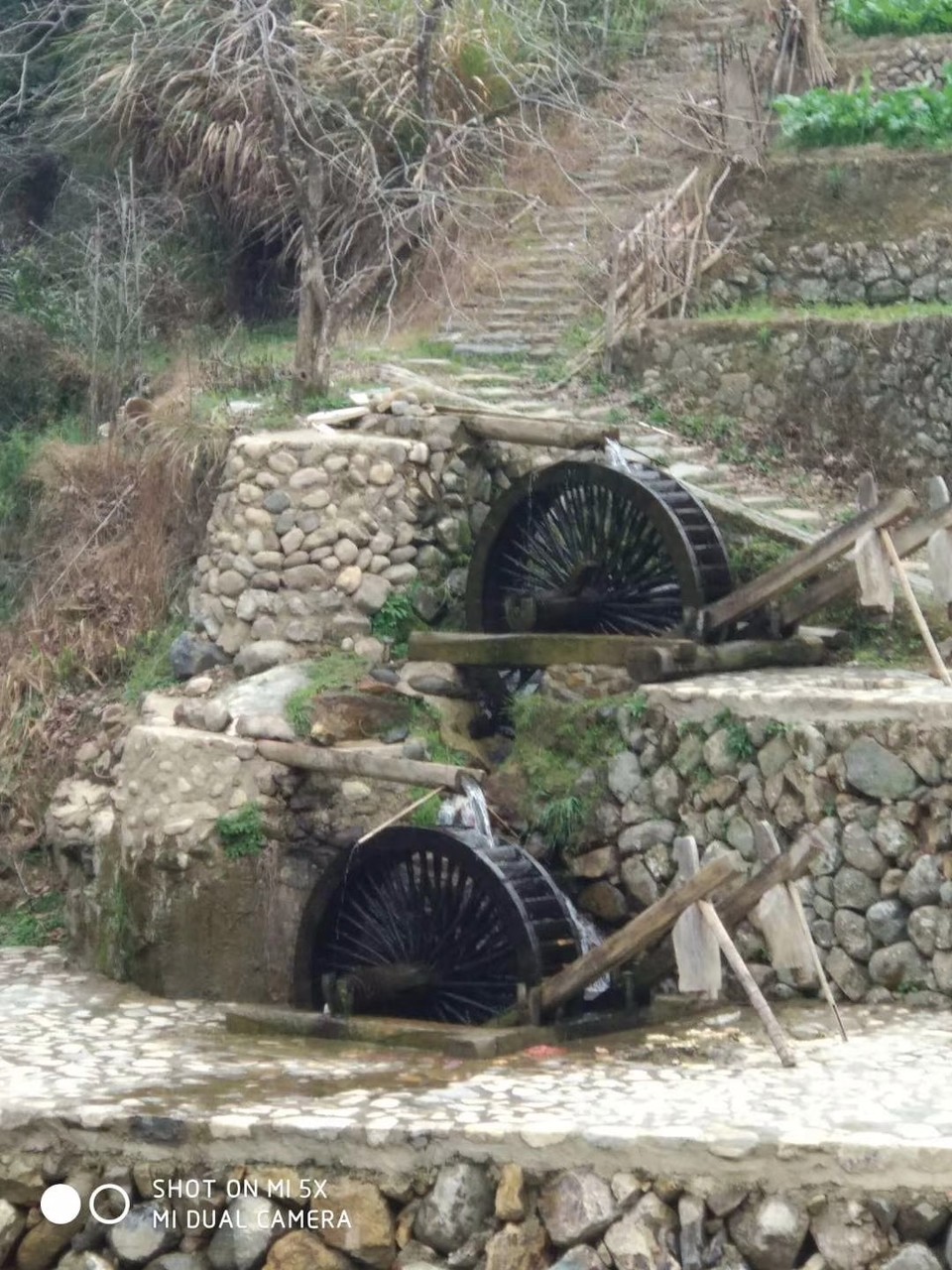 mmexport1519641702632