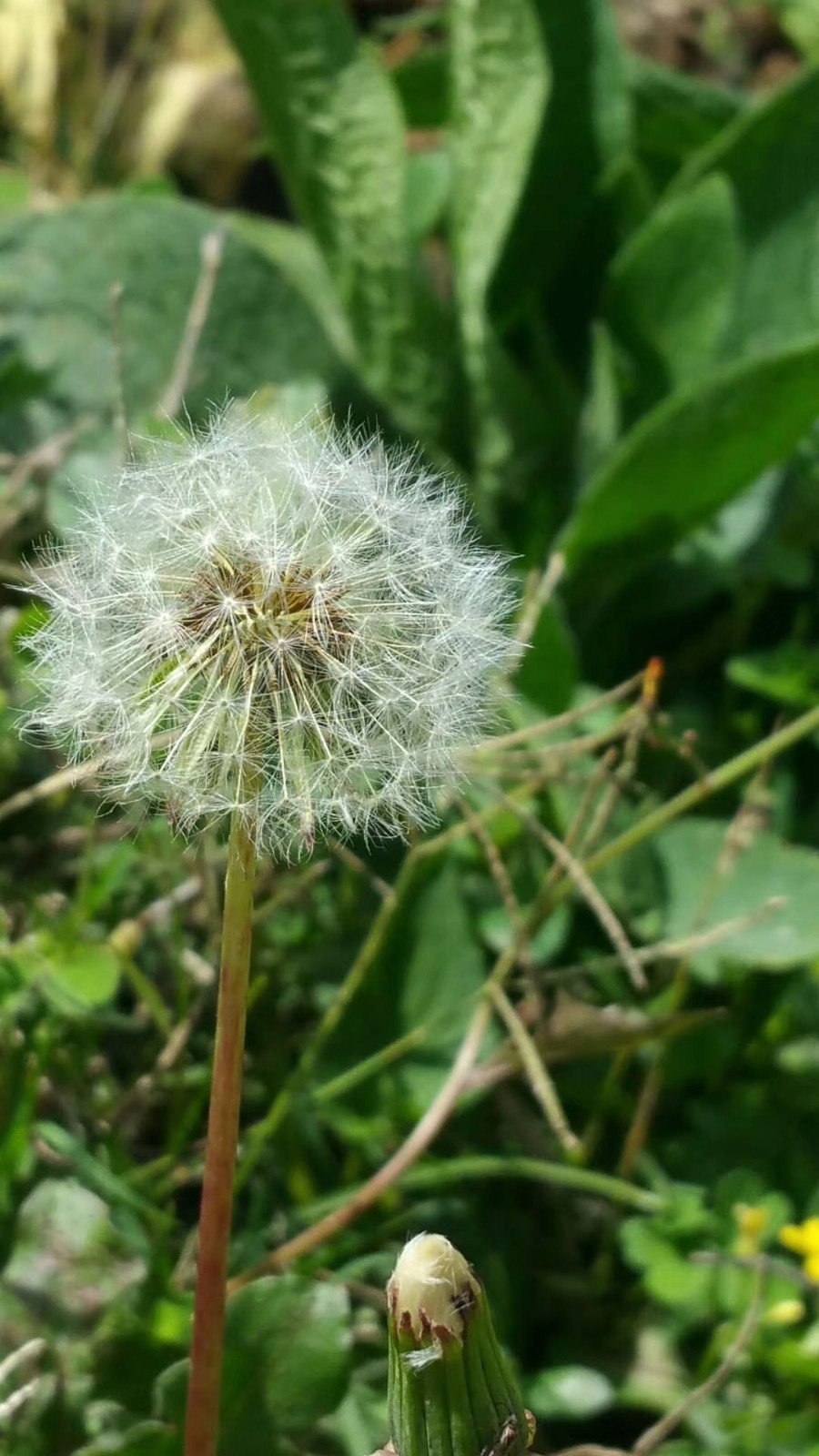 mmexport1525588285934