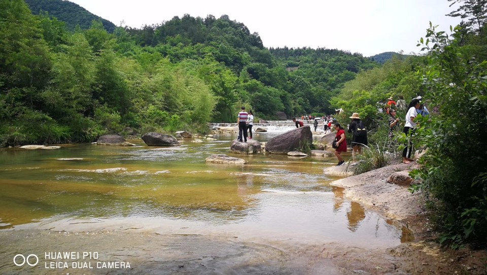 mmexport1526119067812